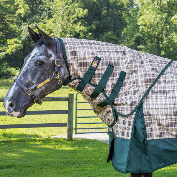 5/A Baker Black Label Neck Cover 200gm - Hunter Green